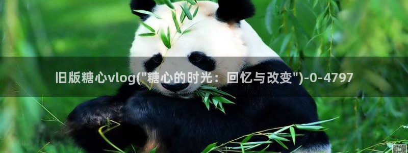 糖心vlog传媒作品：旧版糖心vlog(\