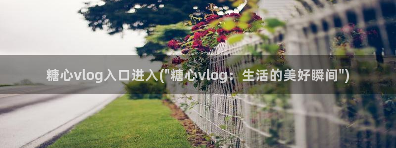 糖心vlog葫芦：糖心vlog入口进入(\