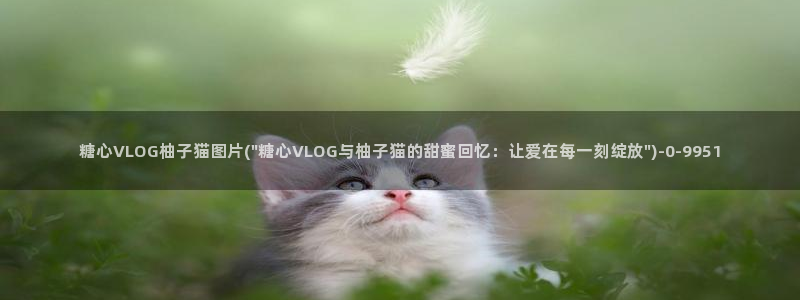 糖心小桃vlog全集：糖心VLOG柚子猫图片(\