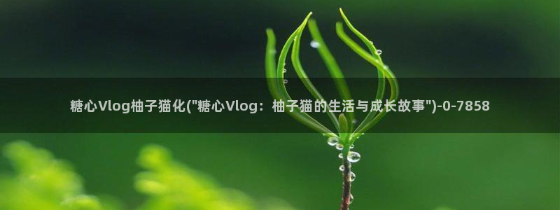 糖心vlog不惊醒：糖心Vlog柚子猫化(\