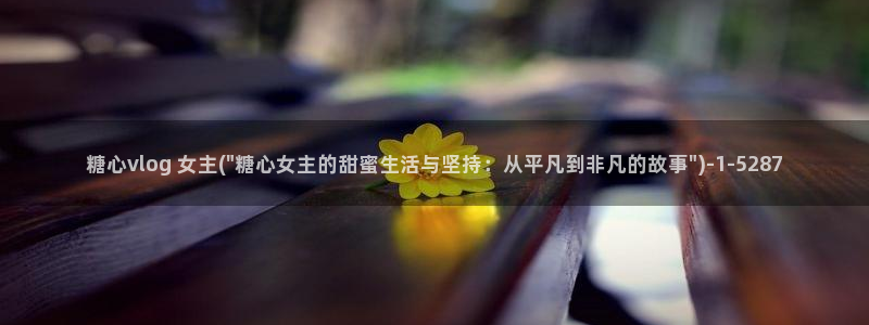 糖心vlog更衣人偶：糖心vlog 女主(\