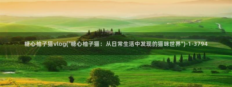 糖心vlog瑶瑶公主：糖心柚子猫vlog(\