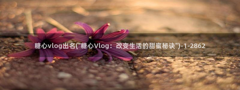 糖心铃木君vlog：糖心vlog出名(\