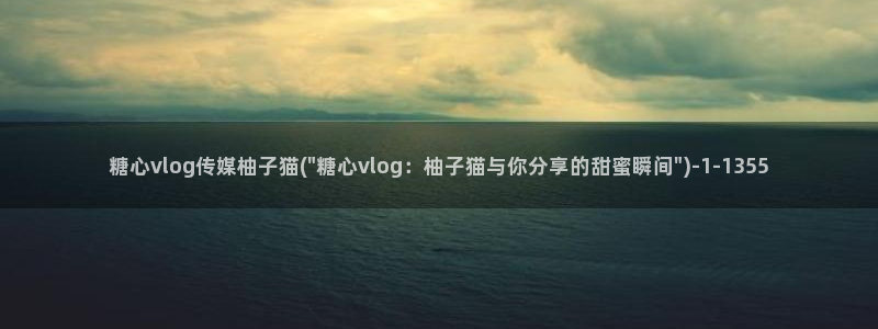糖心vlog护士：糖心vlog传媒柚子猫(\