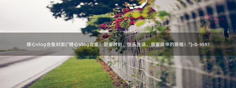 糖心vlog网站邀请码：糖心vlog合集封面(\